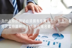 为什么你的网站必须拥有专属域名？别急，看完这篇你就明白了|为什么域名要买